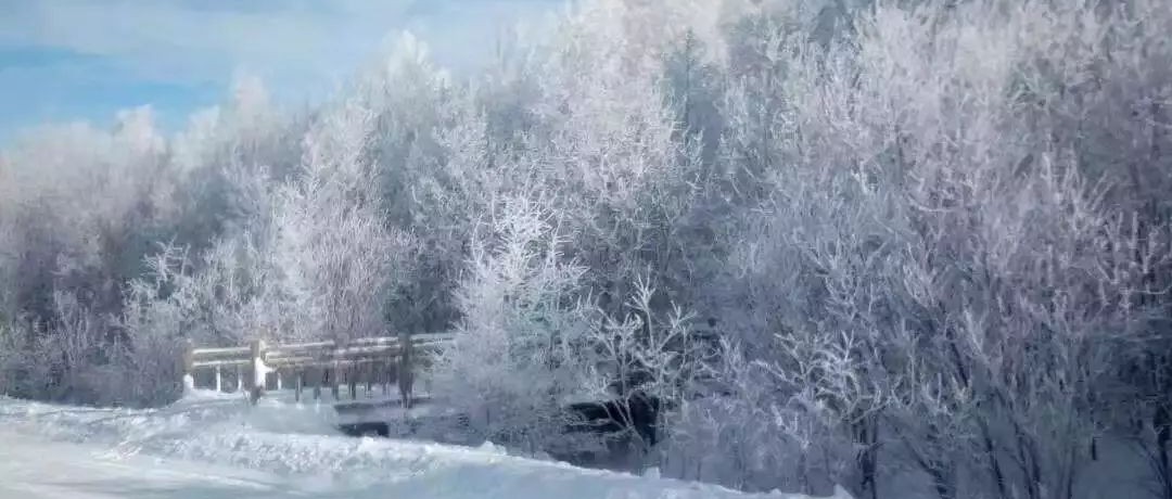 奕行記|奕路向北，駛向雪國(guó)阿爾山